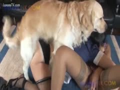 Stella and Domino in Zooskool's naughty salesgirl